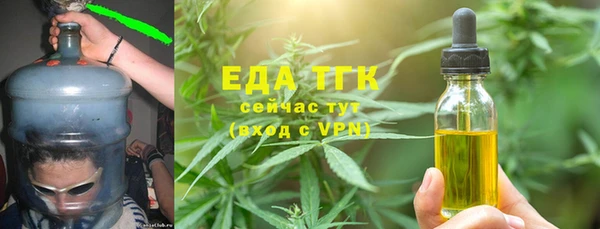 индика Балахна