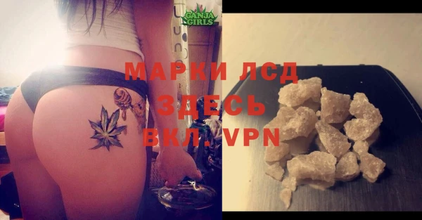 спайс Баксан