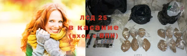 индика Балахна