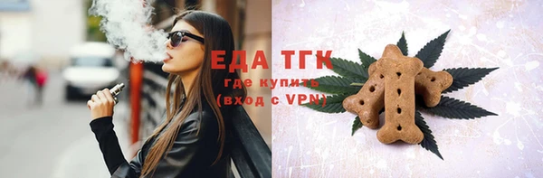 индика Балахна