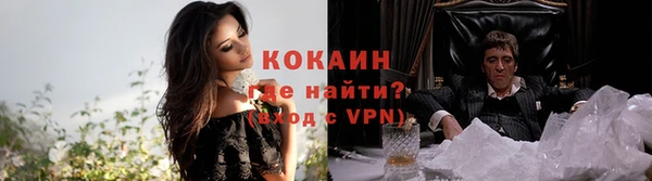 спайс Баксан
