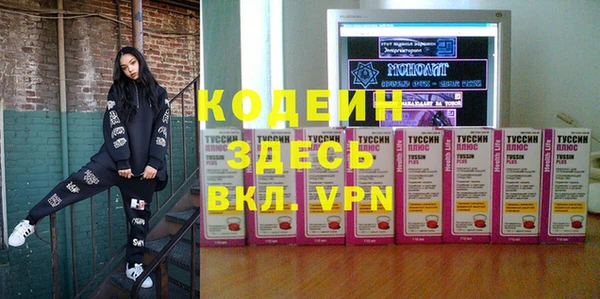 индика Балахна