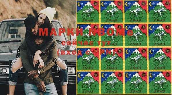индика Балахна