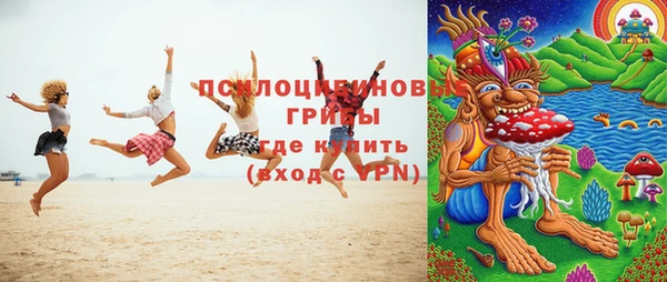 индика Балахна