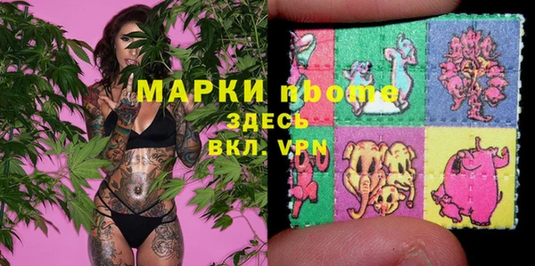 индика Балахна