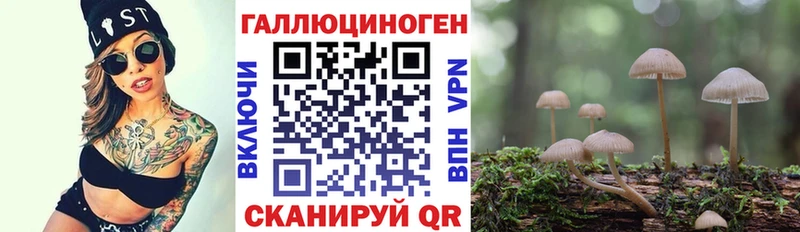 Галлюциногенные грибы MAGIC MUSHROOMS Кукмор